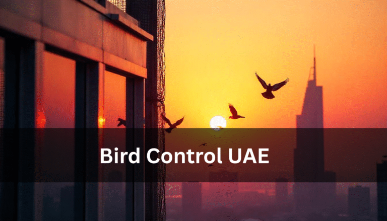 Bird Control UAE: Effective Solutions in Dubai & Sharjah by Experts