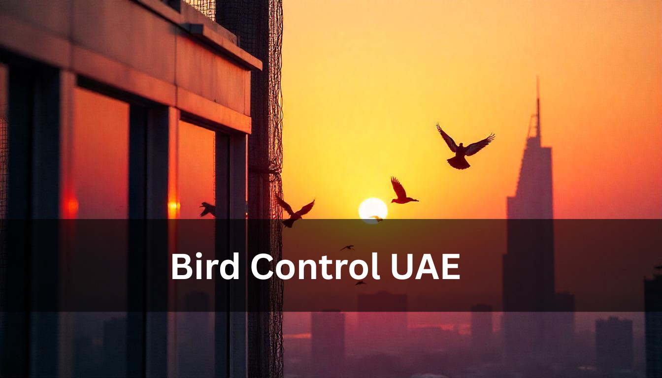Bird Control UAE: Effective Solutions in Dubai & Sharjah by Experts